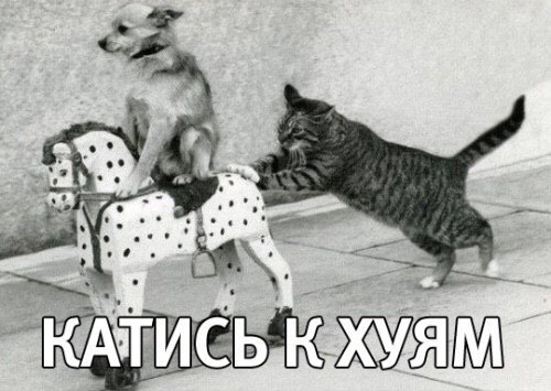 Файл:Xn1-YnE657U.jpg