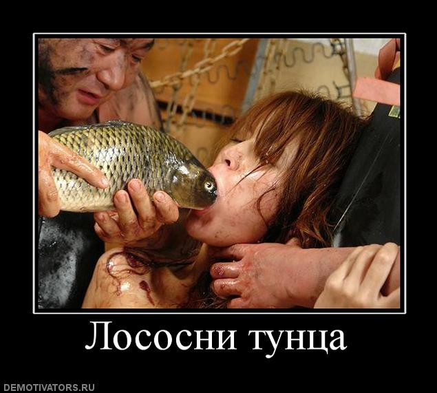 Файл:Лососи тунца.jpg