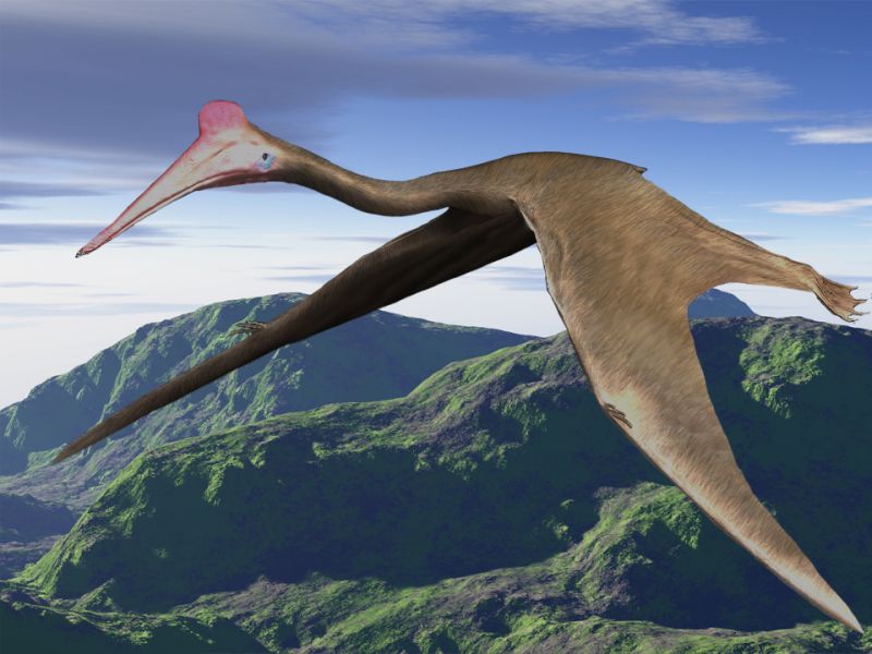 Файл:Quetzalcoatlus BW.jpg