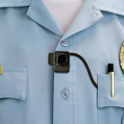 Файл:DVR pectoral-2.png
