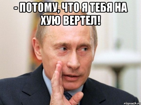 Файл:Я тебя вертел.jpg