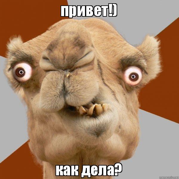 Файл:How are you-3.jpg