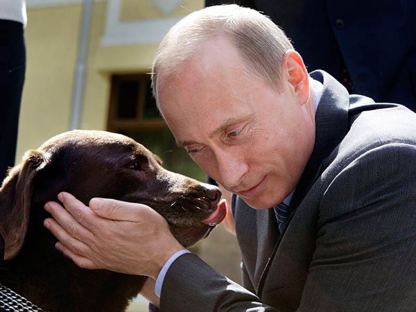 Файл:Конни.jpg