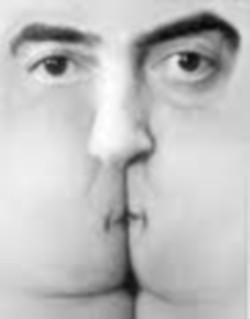 Файл:Two-faced ass.jpg