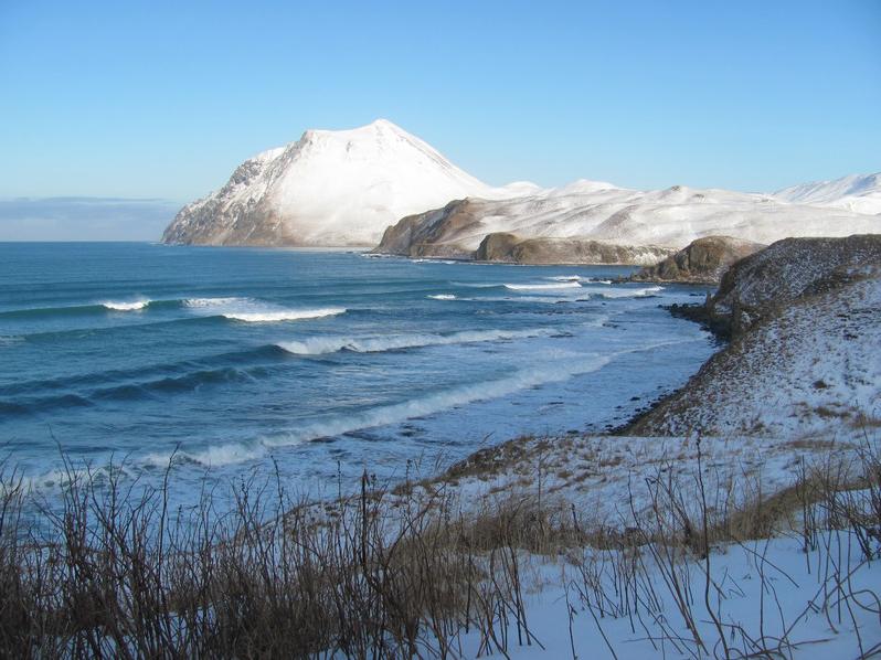 Файл:Beringovo sea.jpg