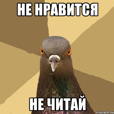 Файл:Golub1.jpg