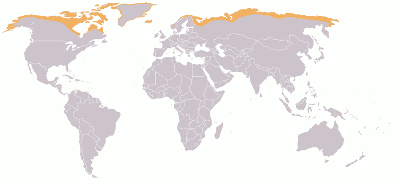 Файл:Map-Tundra.png