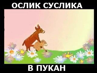 Файл:Pookan8.jpeg