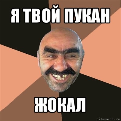 Файл:Pookan6.jpg