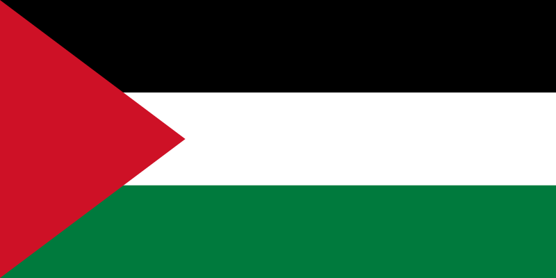 Файл:Flag of Palestine.png