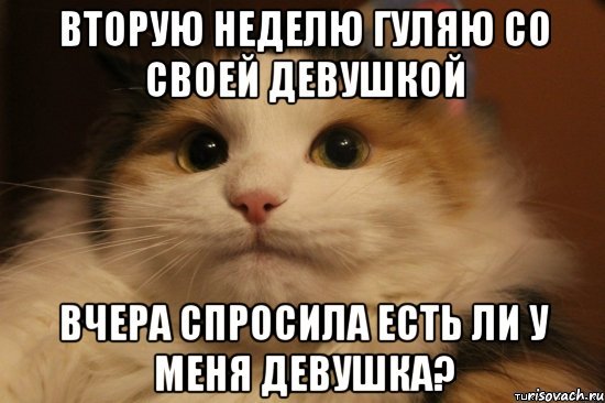 Файл:Fucking shit.jpg