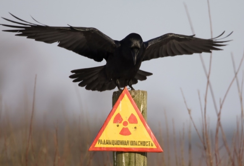 Файл:Warn.jpg