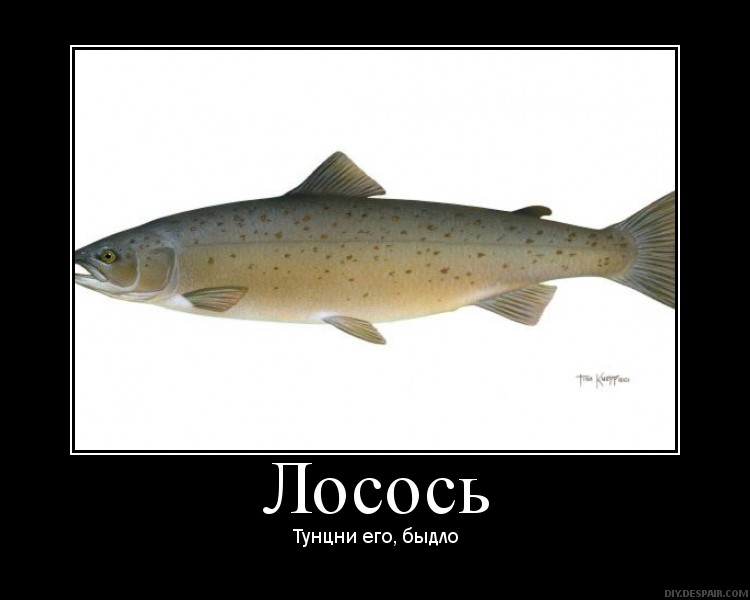 Файл:СХБ.jpg