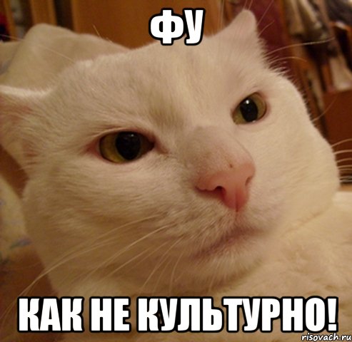 Файл:Phoo!.jpg