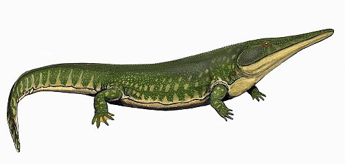 Файл:ArchegosaurusDB3.jpg
