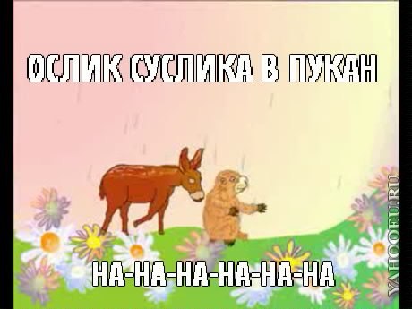 Файл:Pookan9.jpg
