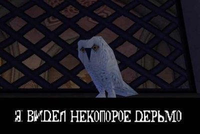 Файл:WeSaw1.jpg
