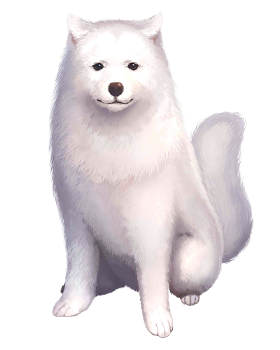 Файл:Cavall2.png