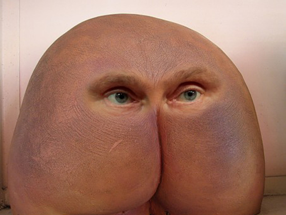 Файл:Two-faced ass2.jpg