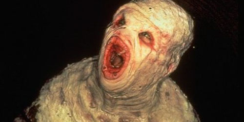 Файл:Wiki-worm.jpg