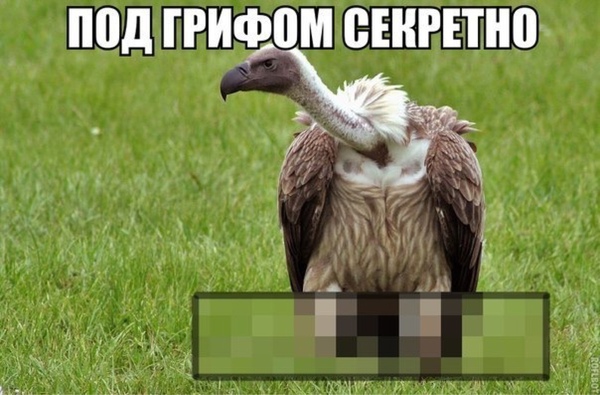 Файл:Grifik.jpg
