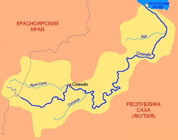 КрОленёк.JPG
