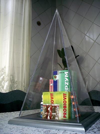 Файл:Bredologia-18.jpg