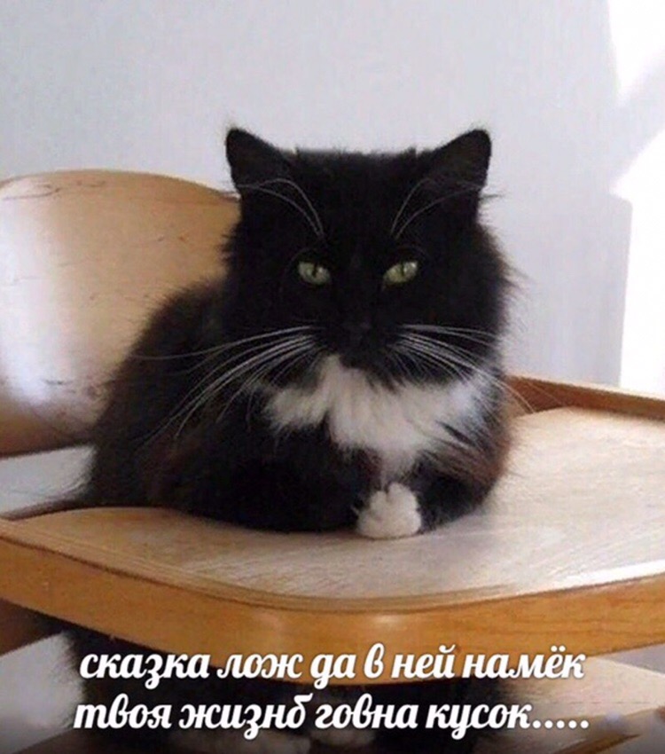 HnpZ1aKslEk.jpg