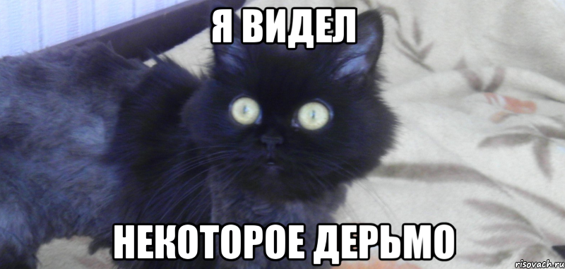 Файл:WeSaw2.png