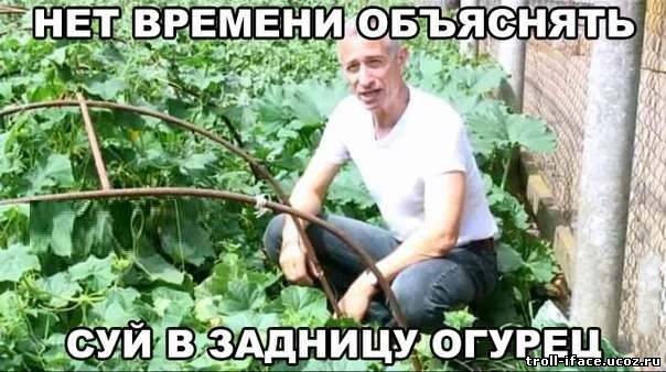 Файл:5635629.jpg