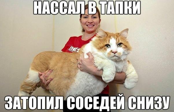 ERdqVaPqm9Q.jpg