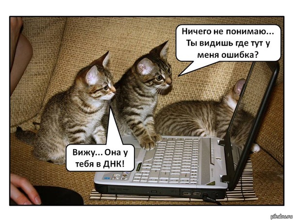 Файл:7fd.jpg