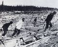Миниатюра для версии от 04:17, 27 июля 2016