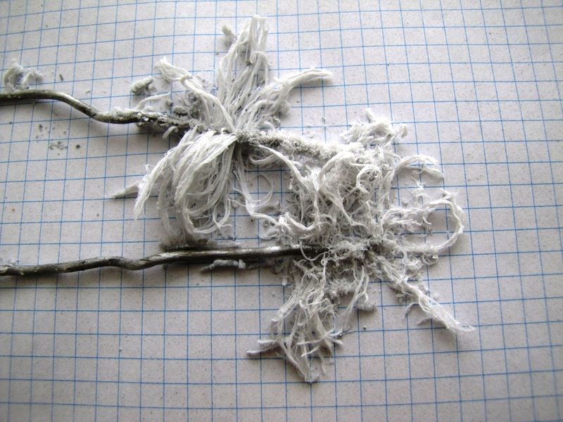 Файл:Aluminium-mercury-10a.jpg