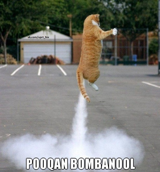 Файл:Pookan5.jpg