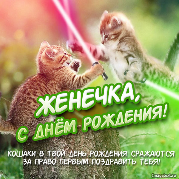 Файл:E3.jpg