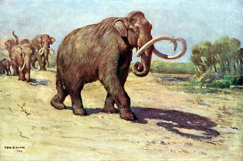 Файл:Columbian mammoth.jpg