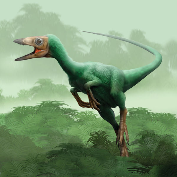 Файл:Sinosauropterx.jpg
