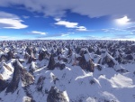 Winter.jpg