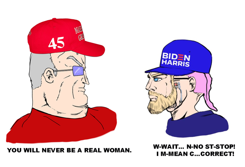 Файл:3d3 trump.png