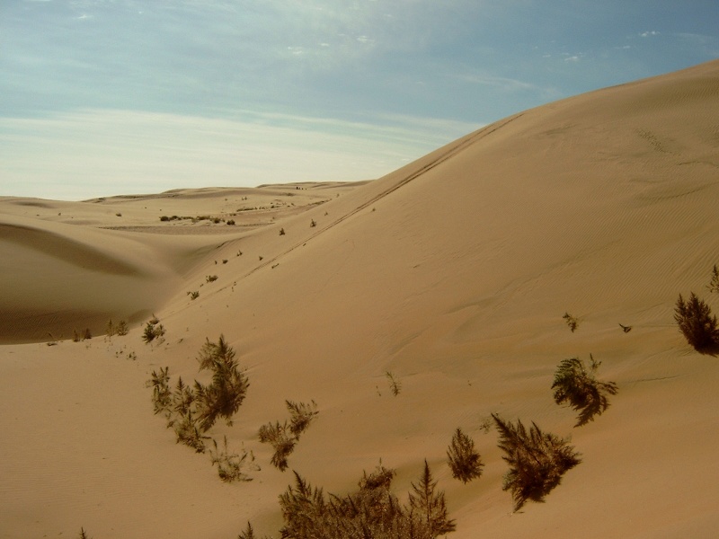 Файл:Gobi Desert.jpg