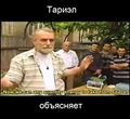 Миниатюра для версии от 20:13, 20 октября 2015