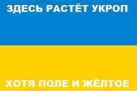 Прикол3.jpg