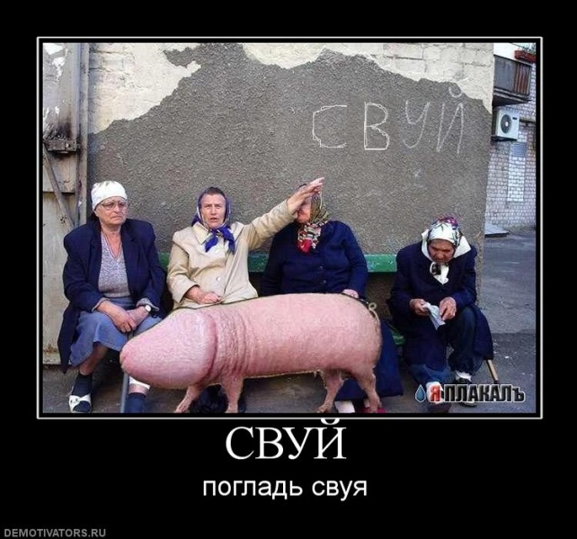 Файл:Svuj.jpg
