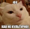 Phoo!.jpg