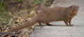 Миниатюра для версии от 05:03, 5 ноября 2016
