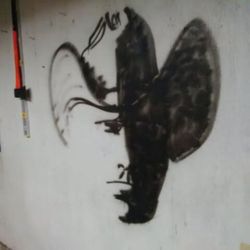 Кар12.jpg