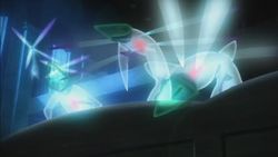 Misaya fake fairies.jpg