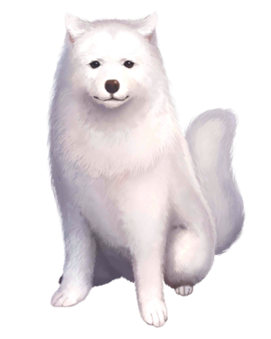 Cavall2.png