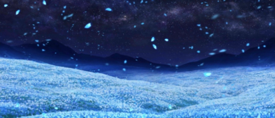 Reverse Side FGO.png